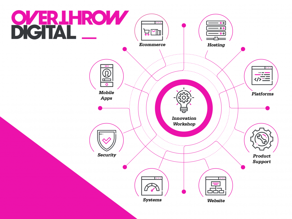Overthrow Digital Services Frame Design Final